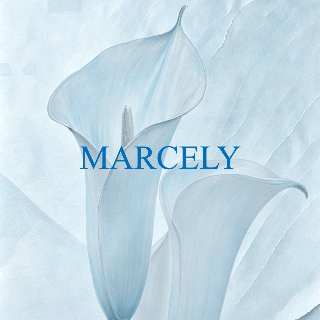 MARCELY hair accessory gift sets — brand visual